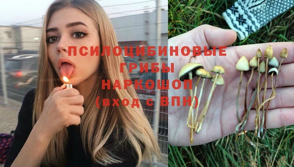 марки nbome Гусь-Хрустальный